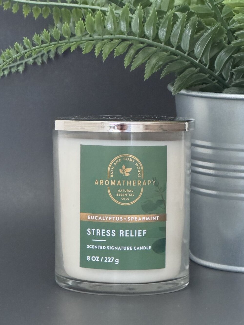 BBW Stress Relief Eucalyptus Spearmint Bath & Body Works Single Wick Candle